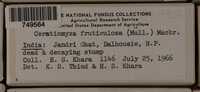 Image Associated With the Occurence